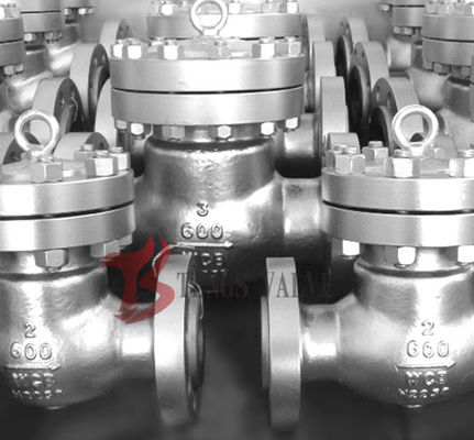 Flanged / Butt Weld Check Valve Swing Type Disc Cast Carbon Steel 600LB