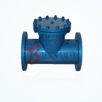 Welded Body T Type Strainer ANSI 150LB / 300LB High Performance 2 Inch - 48 Inch